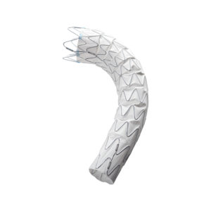 Ankura™ TAA Stent Graft
