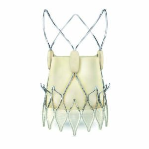 ACURATE neo2™ - Transcatheter Aortic Valve System