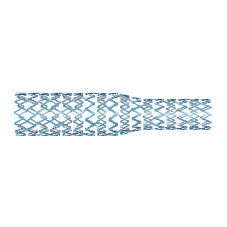 megatron-2.image_.460.0.png SYNERGY MEGATRON™- Everolimus-Eluting Platinum Chromium Coronary Stent System