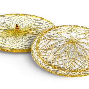 Occlutech PFO Occluder​