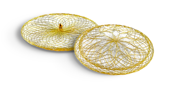 2023-06-19_Occlutech_PFO_PUB_6 Occlutech PFO Occluder