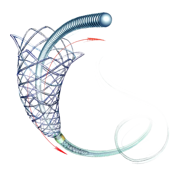 LEO+- Self-Expandable Braided Stent