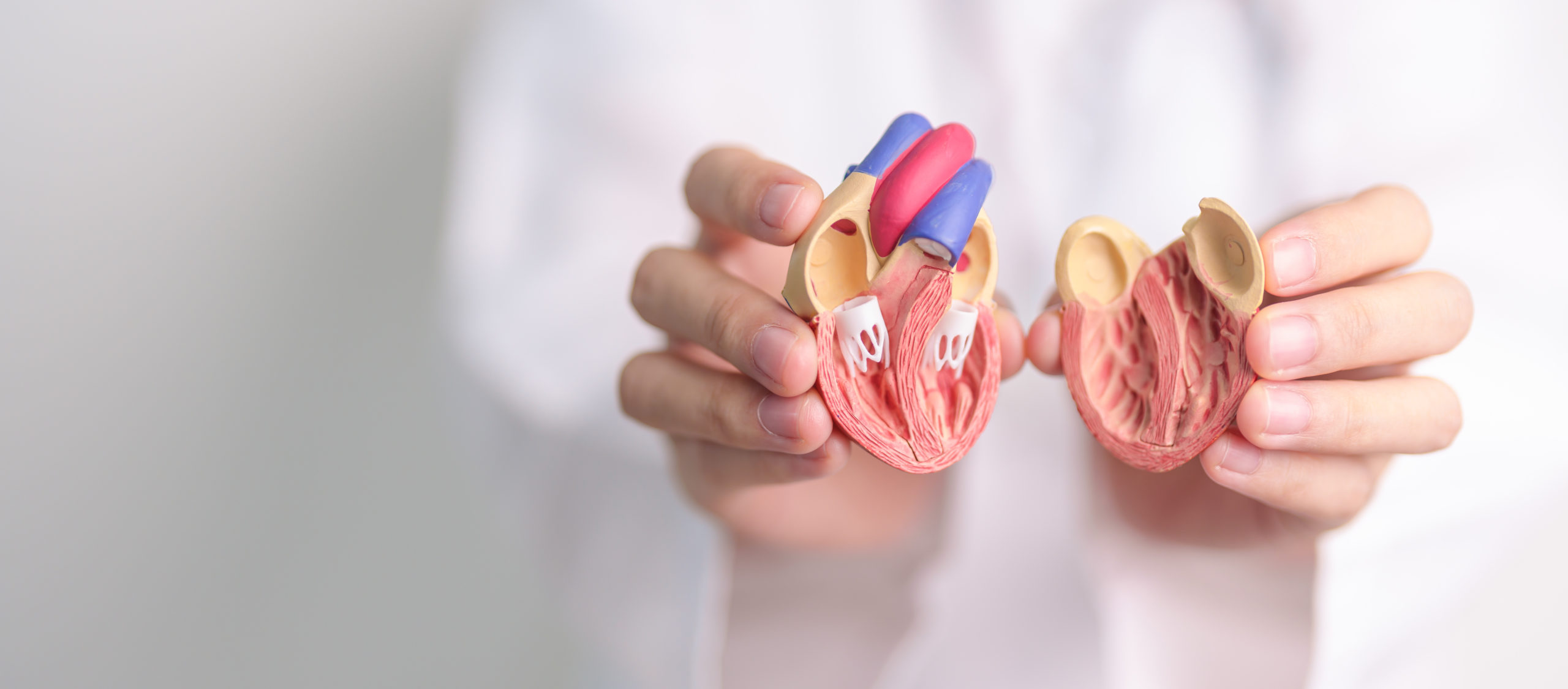 WATCHMAN FLX™ - Left Atrial Appendage Closure Device