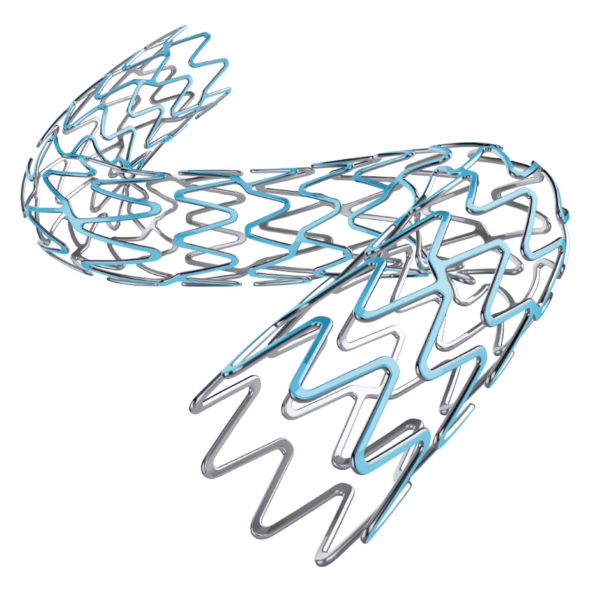 xd1 SYNERGY XD BP Stent